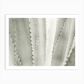 Green Agave Art Print