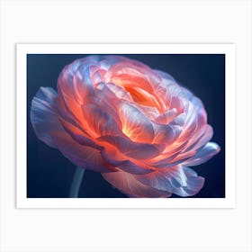 Peony Flower 2 Art Print