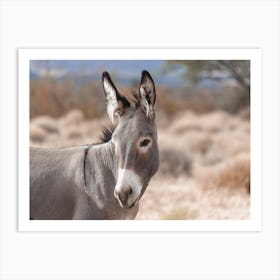 Wild Desert Burro Art Print