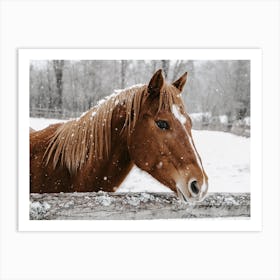 Sorrel Winter Horse Art Print