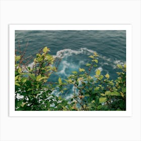 Sea Greens Art Print