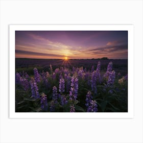 Sunset Over Lavender Field Art Print