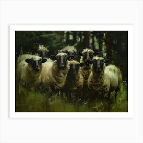 Sheep In The Woods Art Print