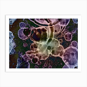 A Rainbow In The Negative 1 Art Print