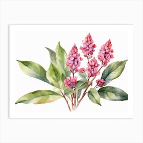 Pink Flowers Watercolor Painting Art Print