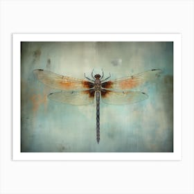 Dragonfly 12 Art Print