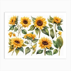 Sunflowers 8 Art Print