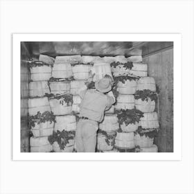 Packing Spinach In Refrigerator Car, La Pryor, Texas By Russell Lee Art Print