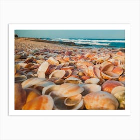 Sea Shells On The Beach 3 Art Print