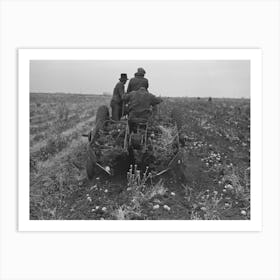 Potato Digger In Section Near East Grand Forks, Minnesota By Russell Lee Art Print