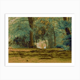 Path In A Forest in summer Art Print