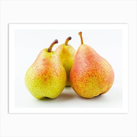 Pears On A White Background 1 Art Print