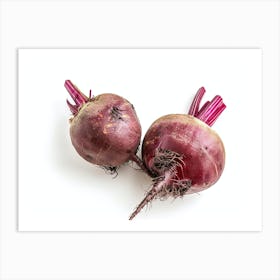 Beets Isolated On White Background Art Print