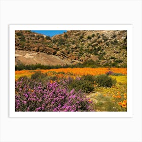 Wildflowers In The Desert Art Print