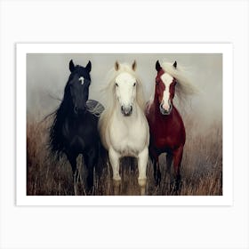 Born to be Free Art Print