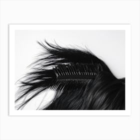 Black Hair Comb Art Print