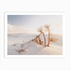 Sunny Sand Dunes Art Print