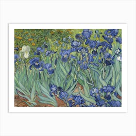 Irises, By Vincent Van Gogh, 1889, Dutch Post Impressionist Painting, Oil On Canvas Art Print