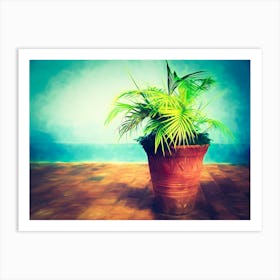Potted Plant On A Cuban Terrace Art Print