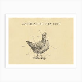 American Chicken Butcher Cuts Chart Art Print