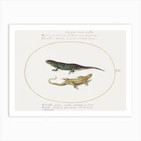 Two Lizards (1575–1580), Joris Hoefnagel Art Print