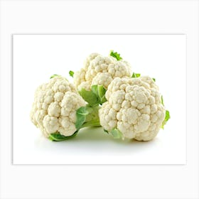 Cauliflower On White Background 4 Art Print