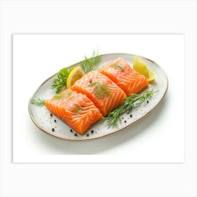 Salmon On A Plate 16 Art Print