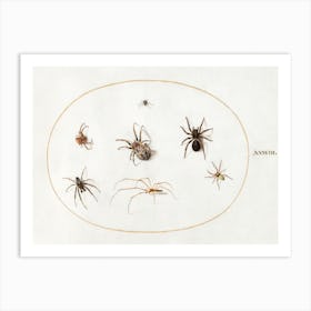 Seven Spiders (1575–1580), Joris Hoefnagel Art Print