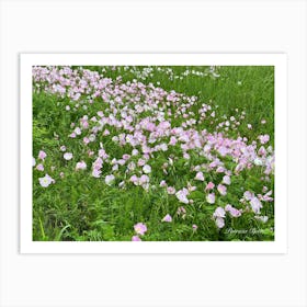 Pink Wildflowers In A Field - Photography Art Print