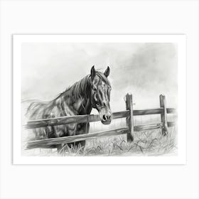 Horse In The Field Art Print