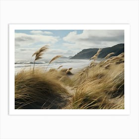 Grass On The Beach Art Print