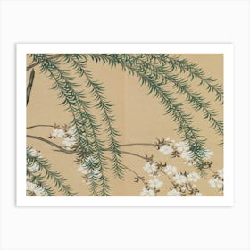 Japanese Cherry Blossoms 1 Art Print