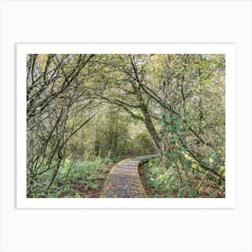 Autumn In A Park Art Print