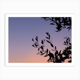 Olive tree at sunset | Tropical Summer | Italy Art Print