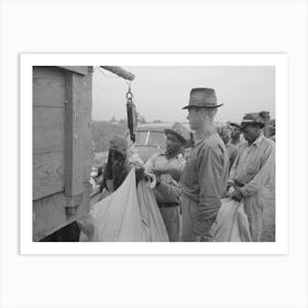 Untitled Photo, Possibly Related To Day Laborers, Cotton Pickers, Waiting To Be Paid Off At End Of Day S Work, Lake Dic Art Print