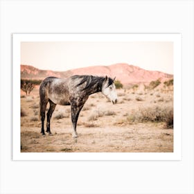 Desert Wild Horse Art Print