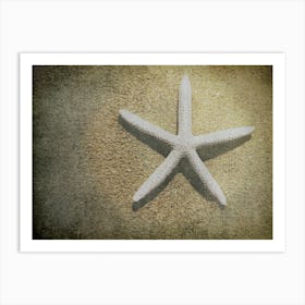 Starfish Art Print