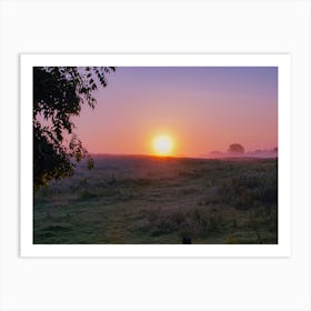 Sunrise Over A Field, Meath, Ireland Art Print