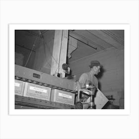 Removing Finished Cartons Of Packaged Rice From Conveyer Presser,State Rice Mill, Abbeville, Louisiana By Russell Lee Art Print