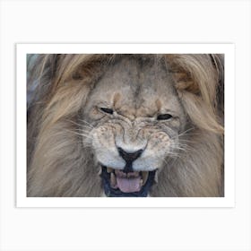 Lion Portrait Art Print