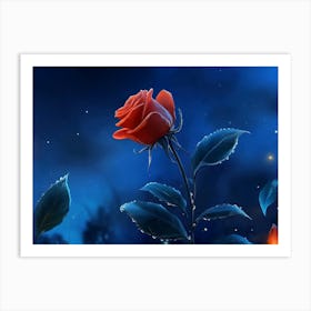 Rose In The Night Art Print