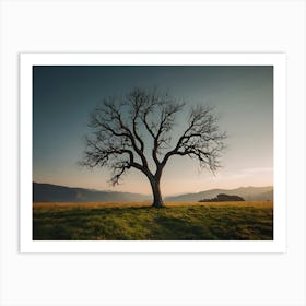 Bare Tree Art Print