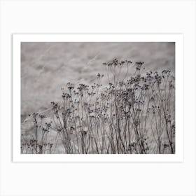 Flower Buds In The Beige Greige Golden Field 1 Art Print