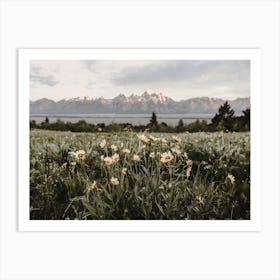 Teton Valley Flowers Art Print