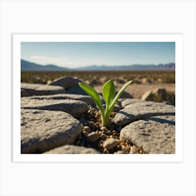 Plant Growing Out Of A Rock Art Print