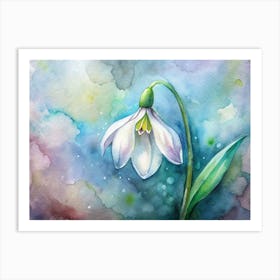 Snowdrop 1 Art Print