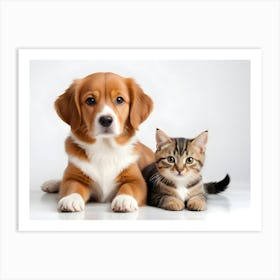 Dog And Cat 06 Art Print