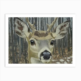 Deer In The Woods 1 Art Print