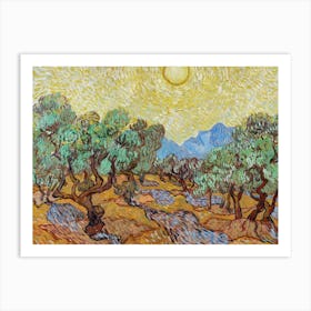 Olive Trees In The Sun Art Print