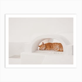 Sleeping Cat Art Print